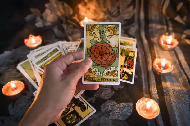 tarot cards Scaggsville